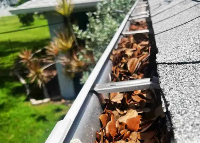 Ridgewood gutter cleaning home page